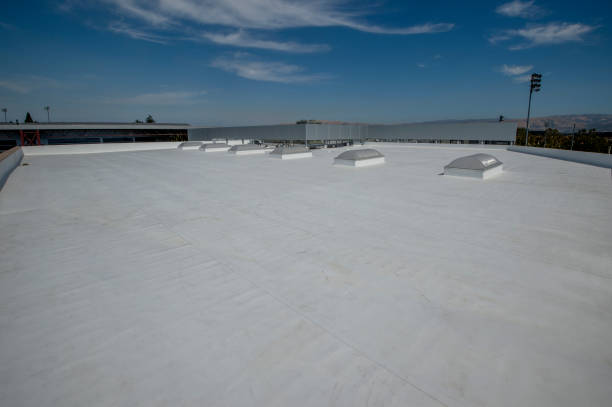 Best Sheet Metal Roofing  in Round Lake, IL