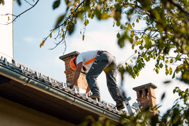 Best Gutter Installation and Repair  in Round Lake, IL