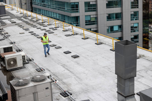 Best Roof Coating and Sealing  in Round Lake, IL