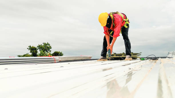 Best Storm Damage Roof Repair  in Round Lake, IL