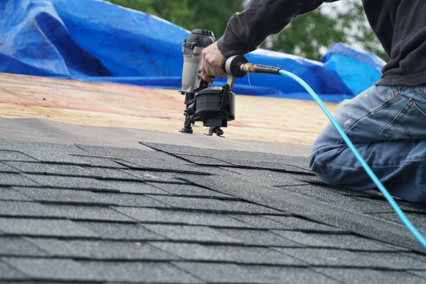 Best Rubber Roofing (EPDM, TPO)  in Round Lake, IL